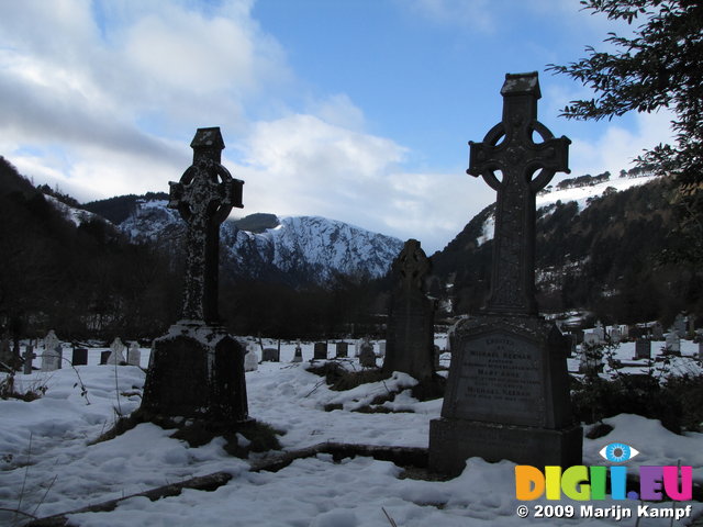 SX02789 Snow on celtic crosses in Glendalough with view to Lugduff mountain